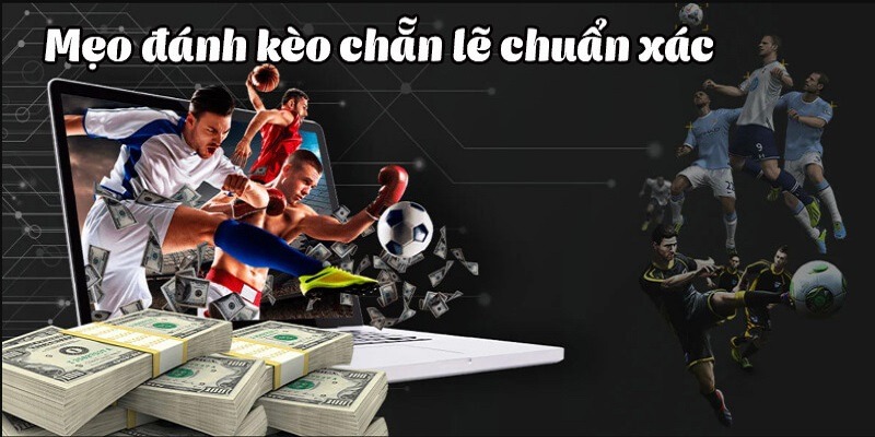 Kinh nghiệm bắt kèo Odd/Even siêu hay cho người mới